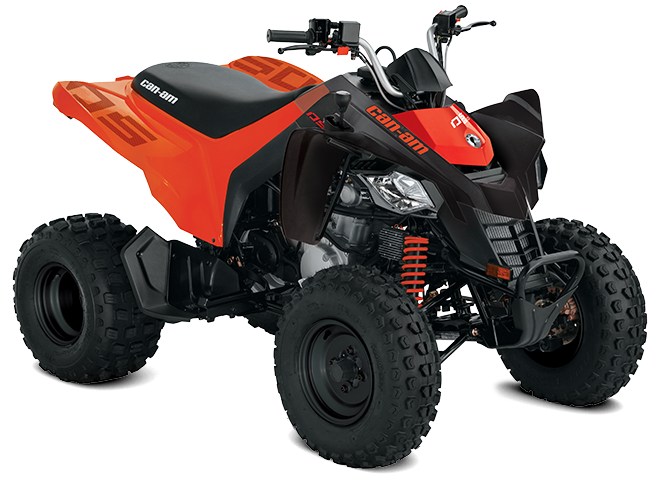 Can-Am DS - Financing starting at 2.99% for 36 months††